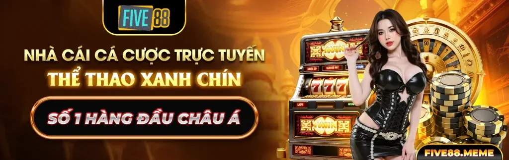 Quyền truy cập dữ liệu của người dùng 5vin